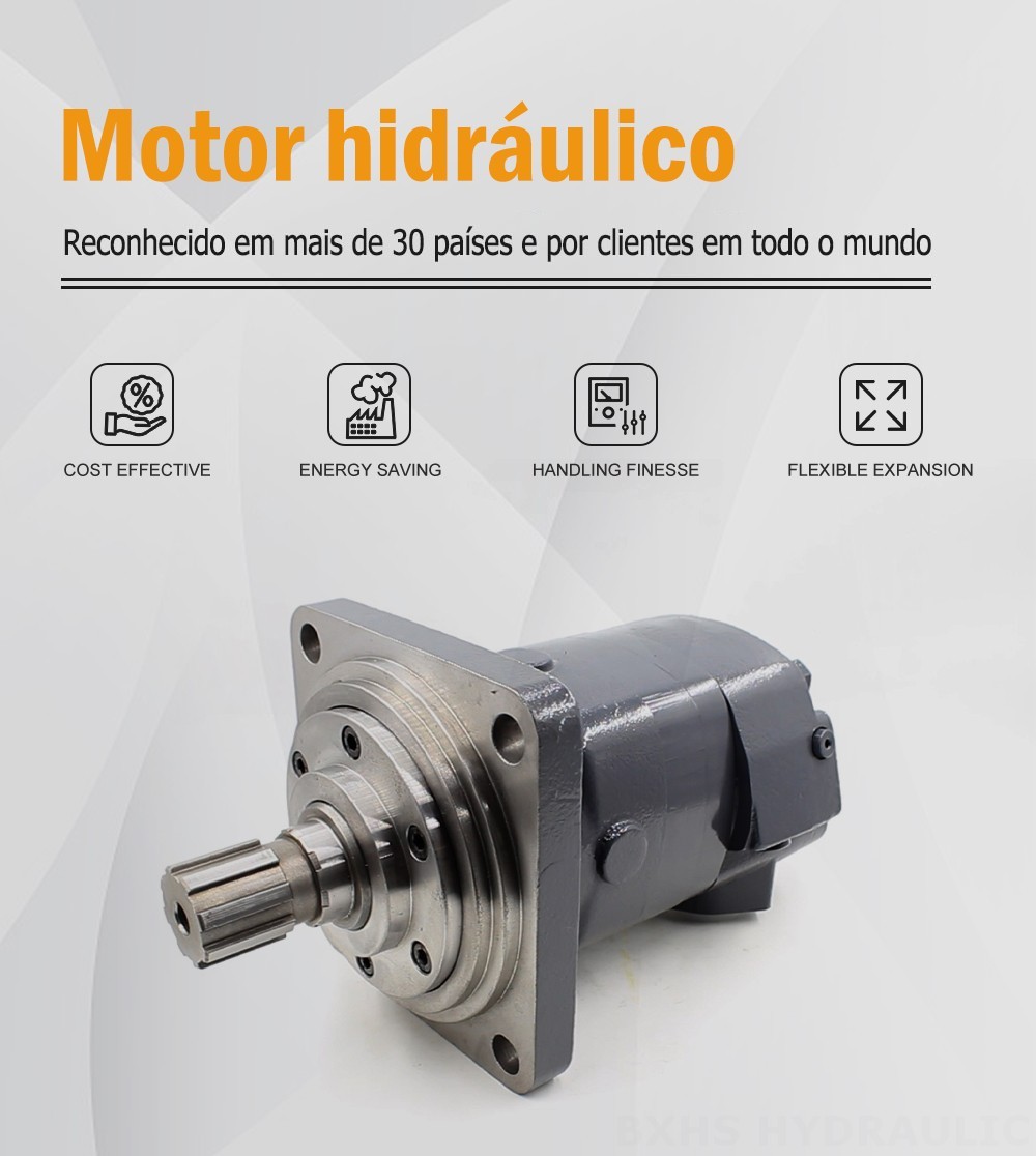 Motor Hidráulico Ciclóide BM6_2 245 cc/r 150 Lpm Motor hidráulico